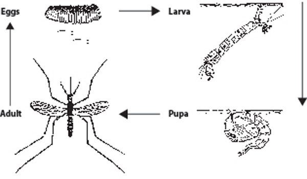 Great ideas! Wish I saw this sooner