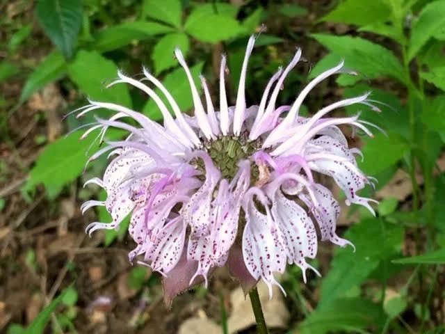 Great ideas! Wish I saw this sooner