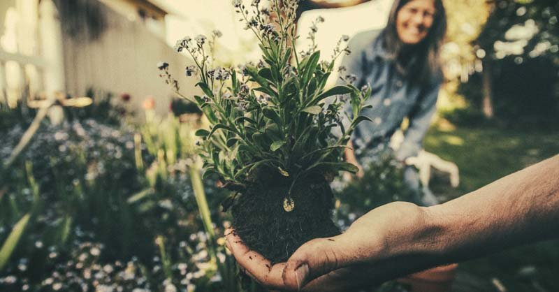 12 Steps to Choosing the Best Location for Your Vegetable Garden