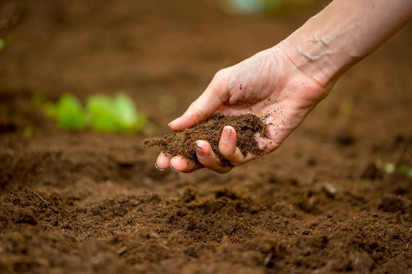 Preparing the soil for planting | Seasol