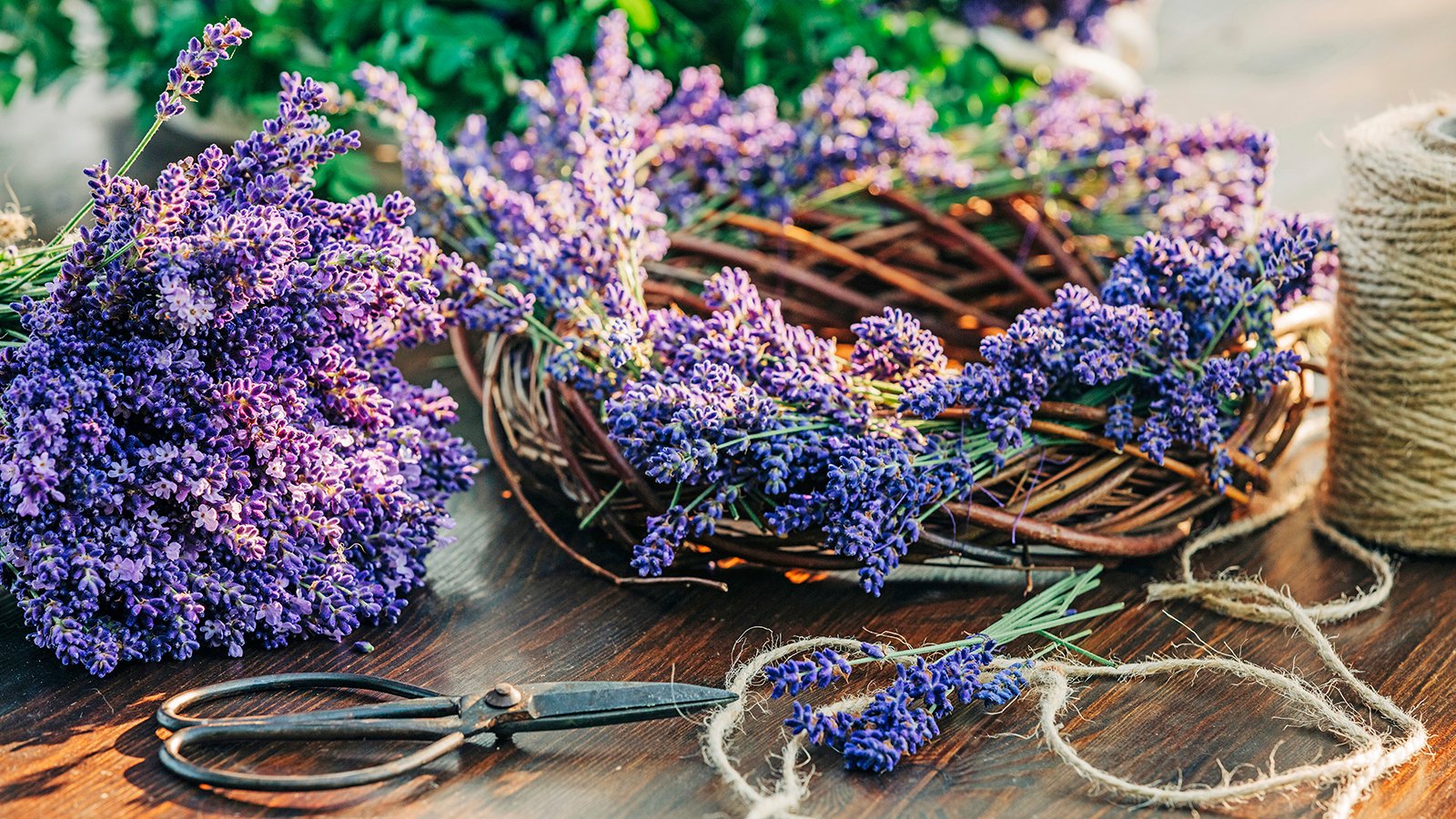 8 Lavender Craft Ideas To Savor Your Garden Harvest | Gardening Know How