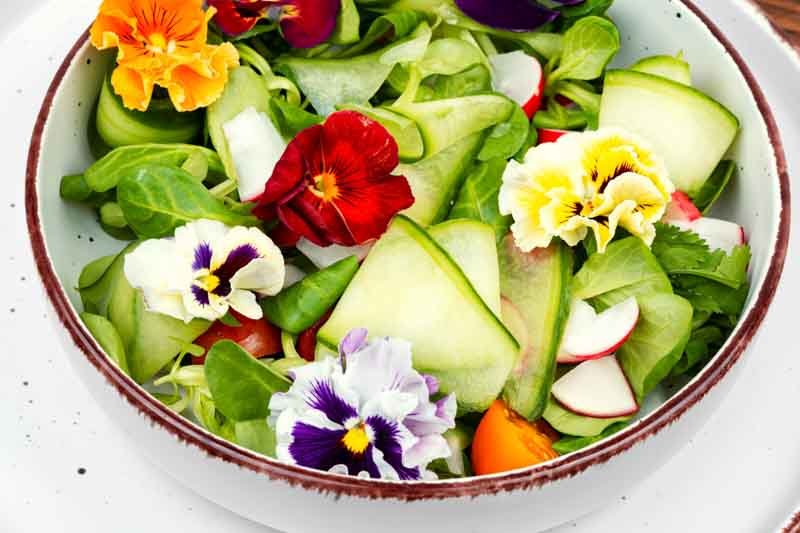 30 Edible Flowers to Beautify Your Garden and Plate