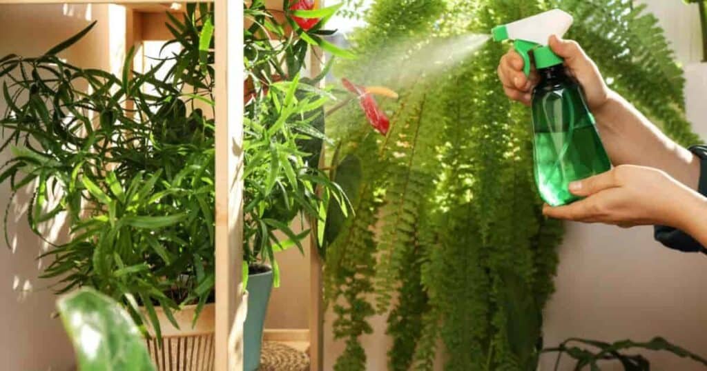 How To Help You Plants With Hydrogen Peroxide: Mixing Charts