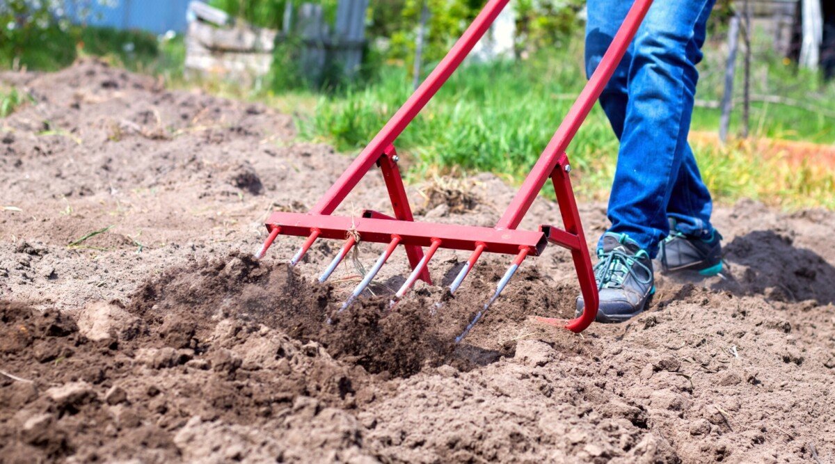 How and When to Aerate Your Soil: Improve Compacted Soil