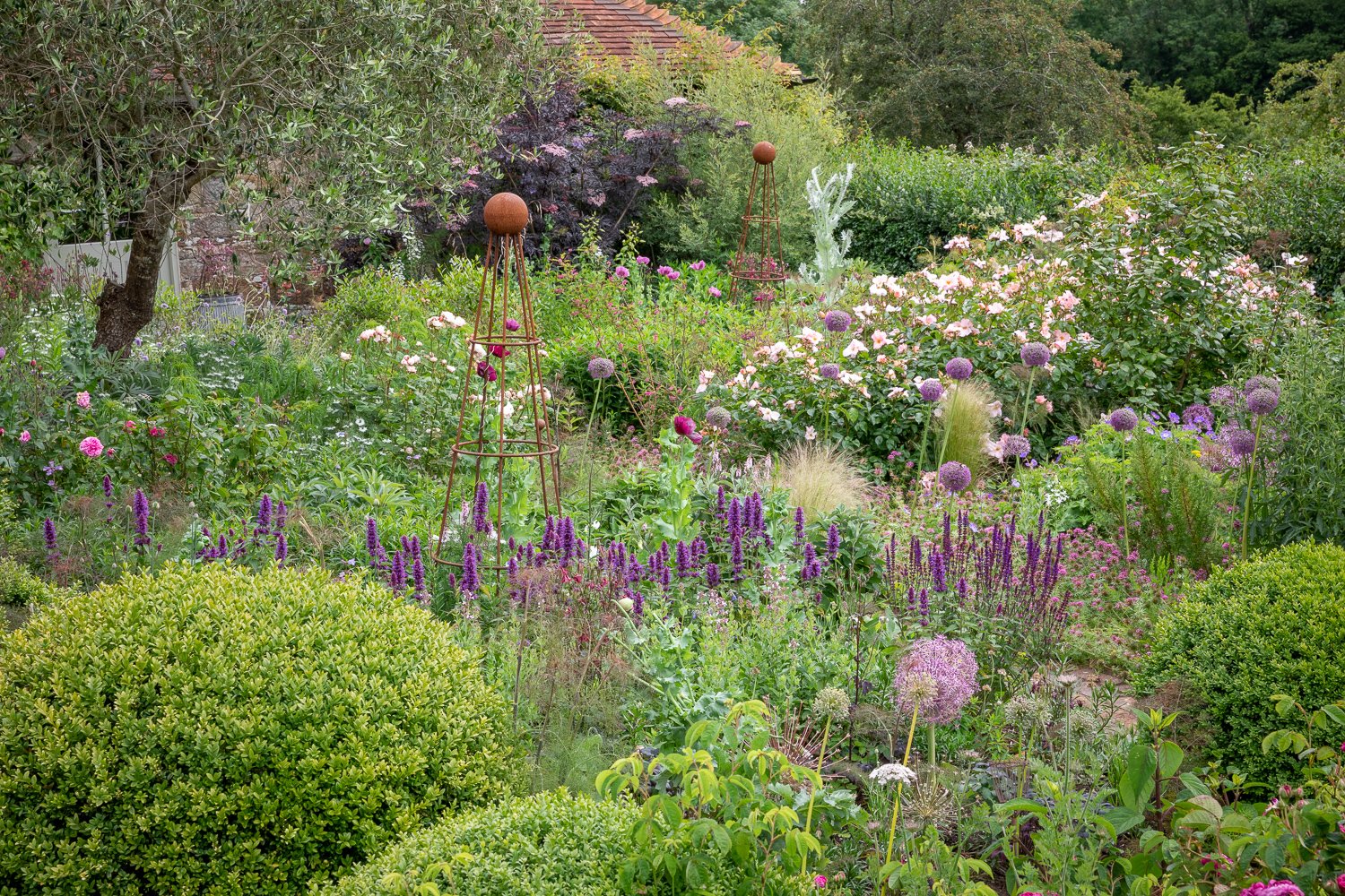 How to Improve Biodiversity in Your Garden • The Home Page