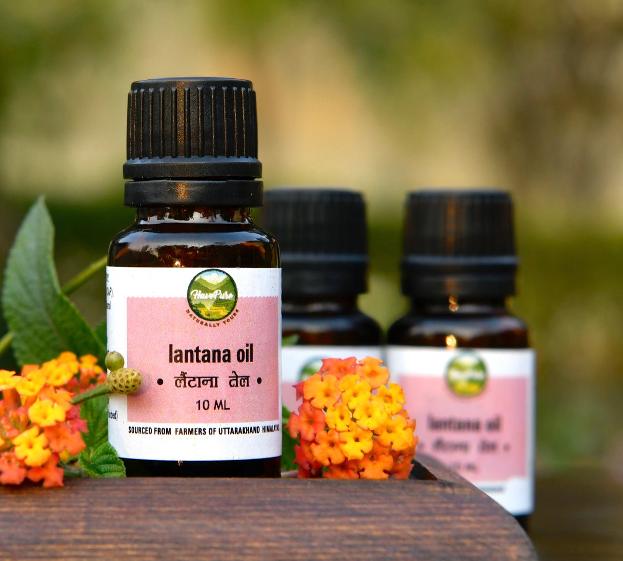 HavePure Lantana Oil – 10ml | Natural Essential Oil from Uttarakhand H