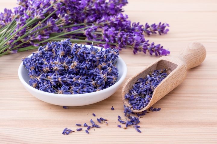 Most don’t know this, but every garden should have lavender hedges. Here’s why