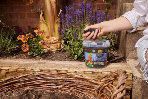 Most don’t know this, but every garden should have lavender hedges. Here’s why