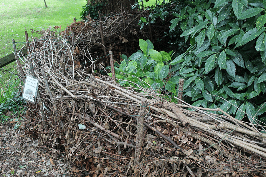 Climate Action Fife | How dead hedges can transform winter prunings into a  wildlife haven