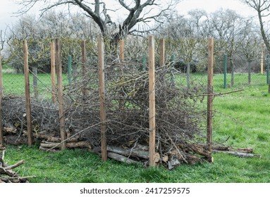 2+ Thousand Dead Hedges Royalty-Free Images, Stock Photos  Pictures |  Shutterstock