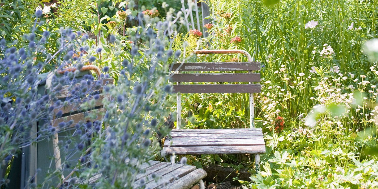 6 Low-Maintenance Garden Hacks For Every Gardener