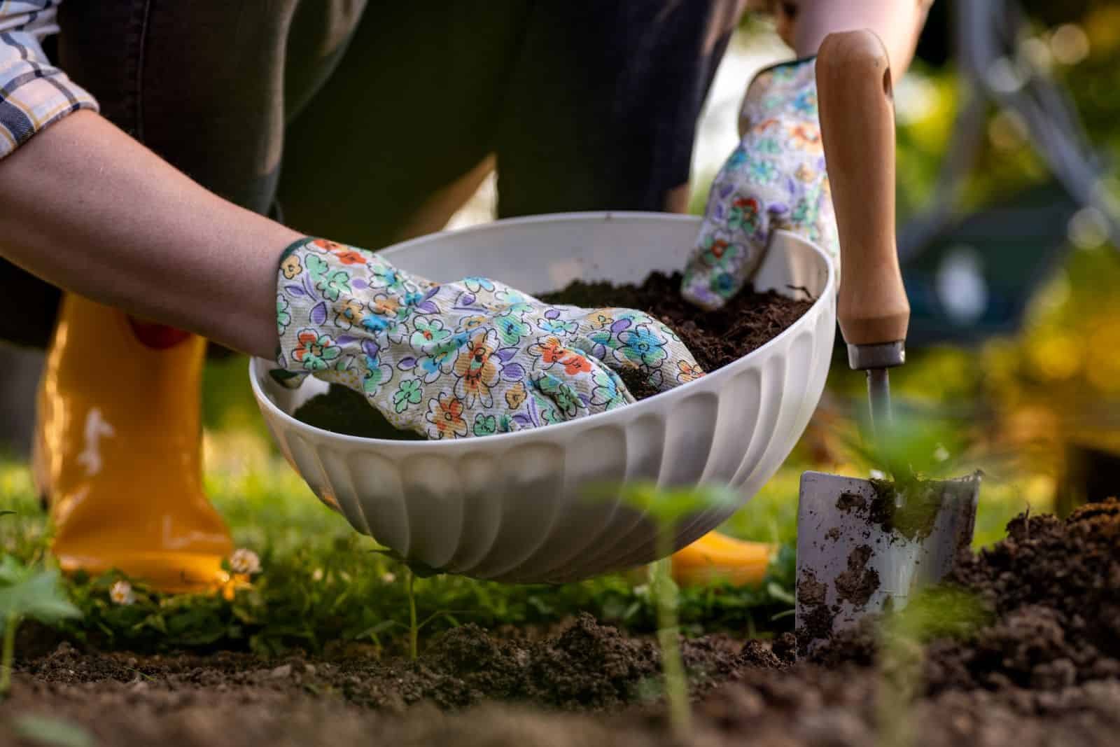 11 Proven Tricks to Build Rich, Productive Garden Soil * Big Blog of  Gardening