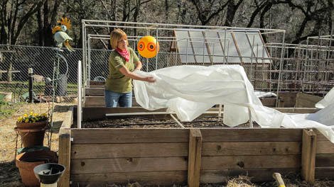 My grandpa swore by this 1 method to build a hinged hoophouse for raised bed garden. Here’s how it works