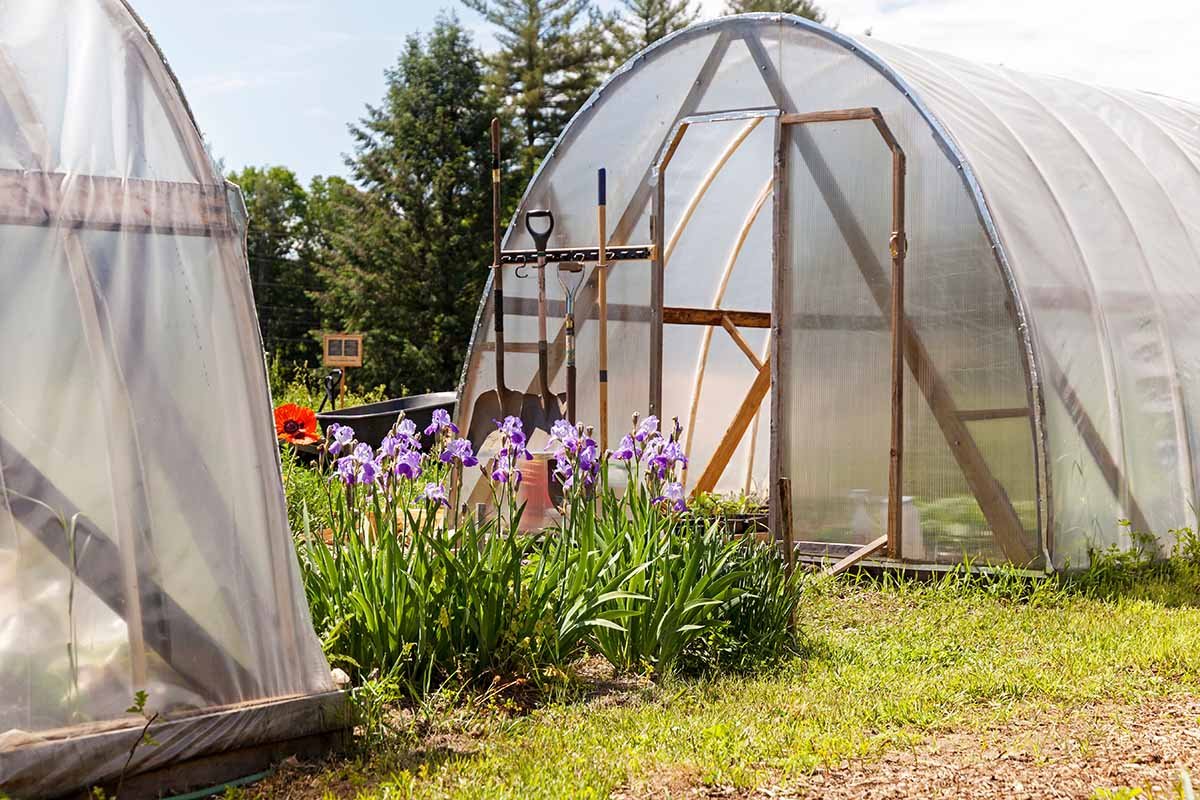 11 Tips for Gardening with a Hoop House | Gardener's Path