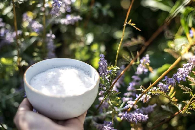 Is Epsom Salt the Best Kept Gardening Secret? | Triangle Gardener Magazine