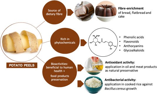 Potato peels as sources of functional compounds for the food industry: A  review - ScienceDirect