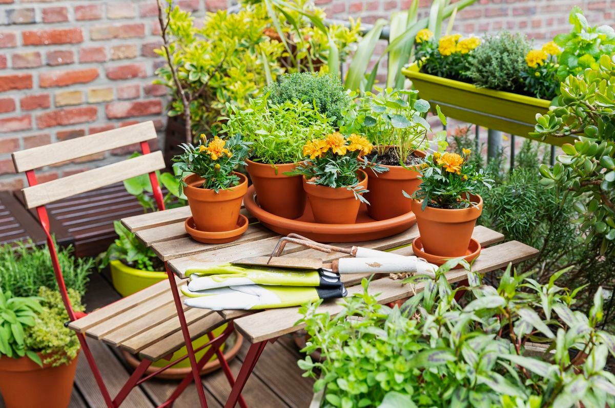 4 Things Good Gardeners Do to Make Outdoor Containers Grow Quicker — Tricks  for a Yard That Looks Fuller, Fast | Livingetc