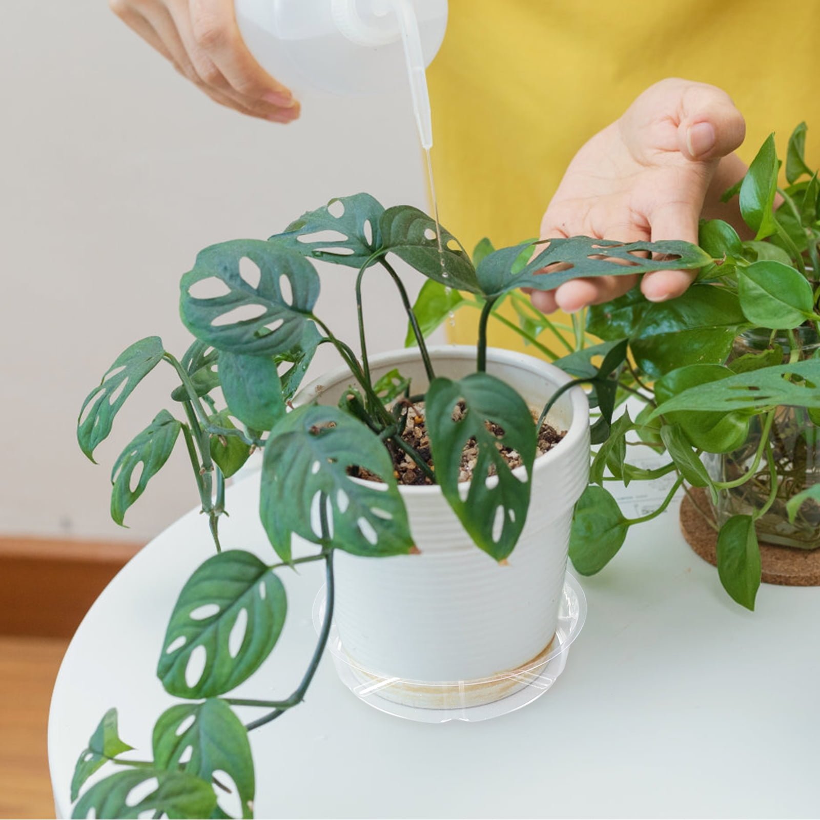 10pcs Flower Potted Saucers Planter Saucers Plant Pot Storage Plates Plant  Supplies - Walmart.ca