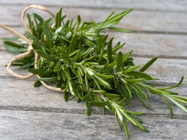 Rosemary: Health benefits, precautions, and drug interactions