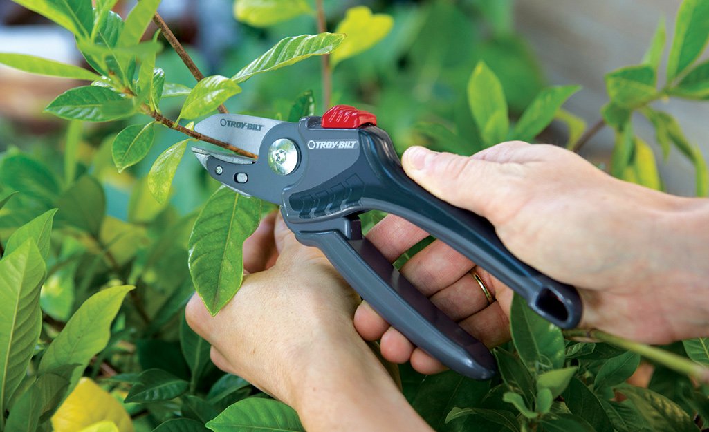 Best Pruning Shears for Your Yard - The Home Depot