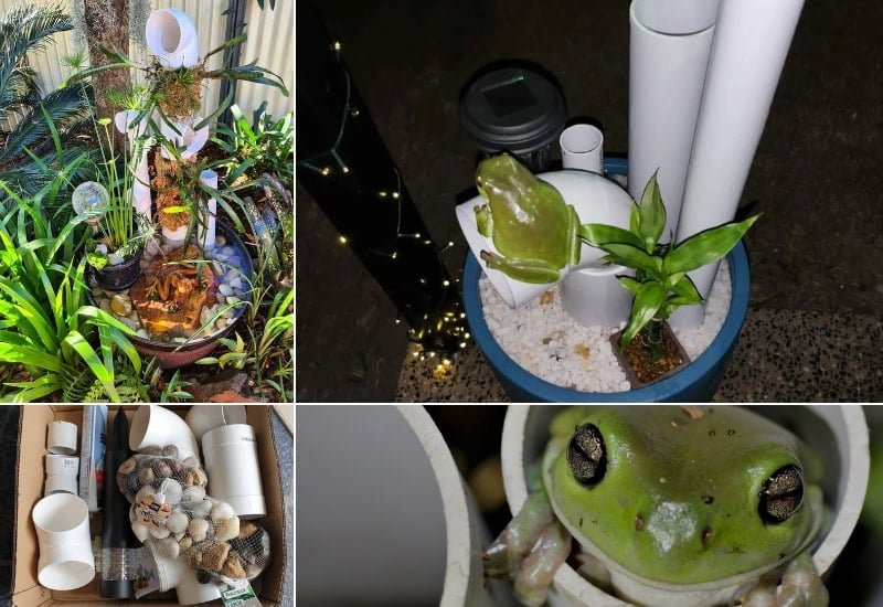 This DIY Frog Hotel Could Be the Best Addition to Your Garden Ever