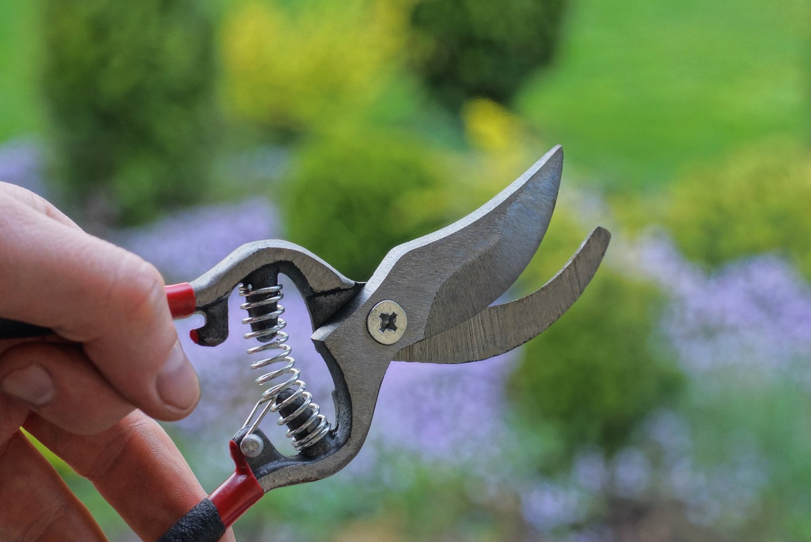 Guide to Pruning Equipment | Yard and Garden
