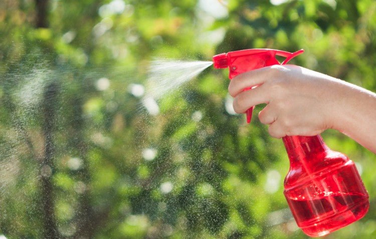 How to Control Garden Pests without Chemicals – Hoselink