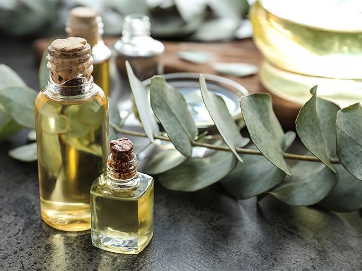 Oil of Lemon Eucalyptus: Benefits, Risks  Active Ingredients
