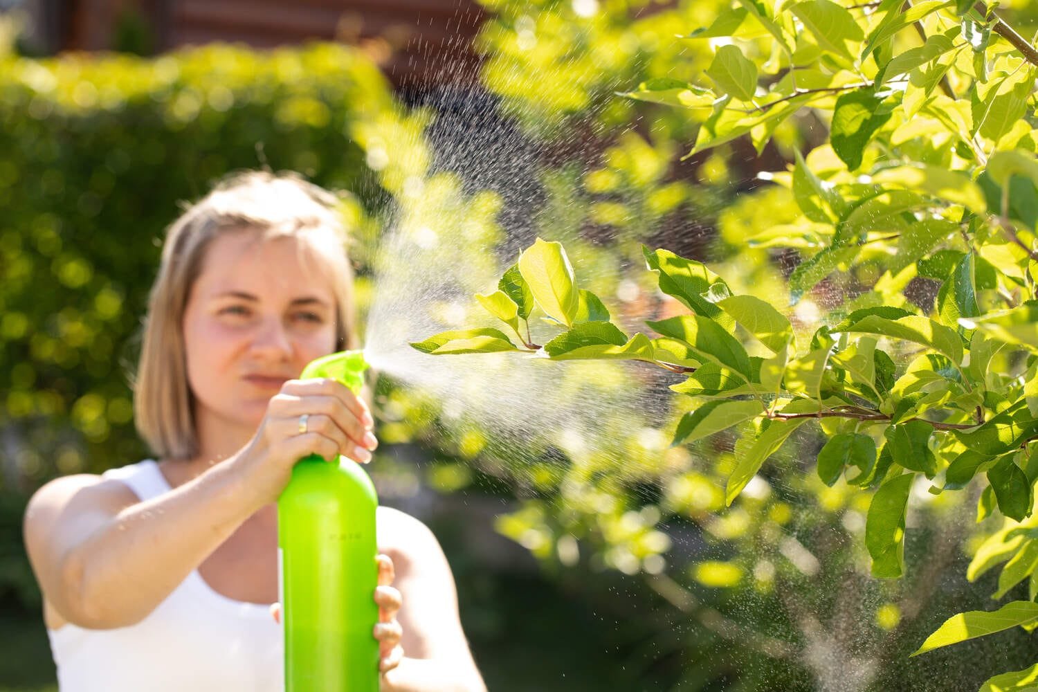 Apple Tree Spray for Worms: Your Guide to Healthy Apples