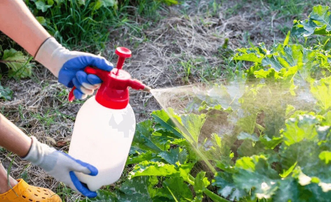 Natural Garden Pest Control: Effective Organic Strategies for Pest Control  in Your Garden | Seedling Squad