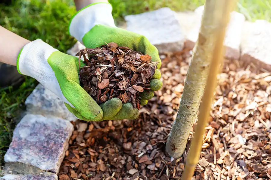 The Benefits of Mulching Your Garden - Read our Tips and Ideas