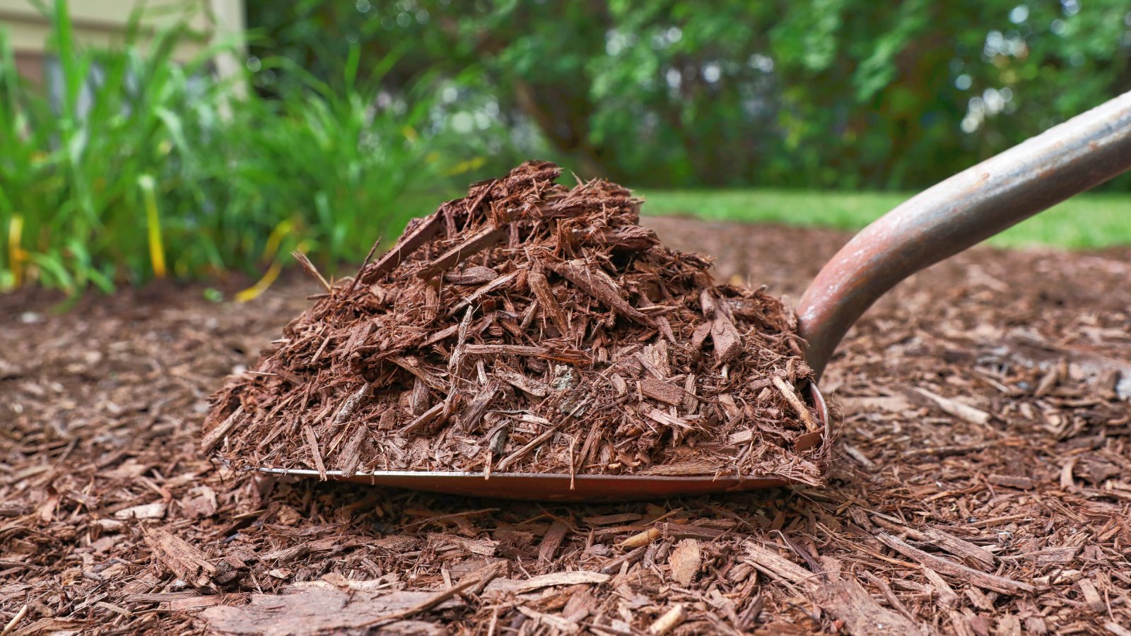 Mulching 101: Complete Guide To Mulching Your Landscape | Gardening Know How