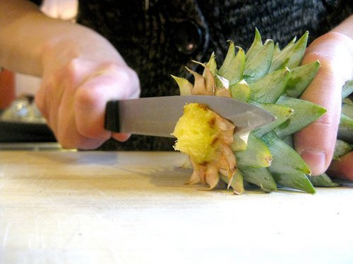 Trồng dứa đơn giản từ phần ngọn bỏ đi