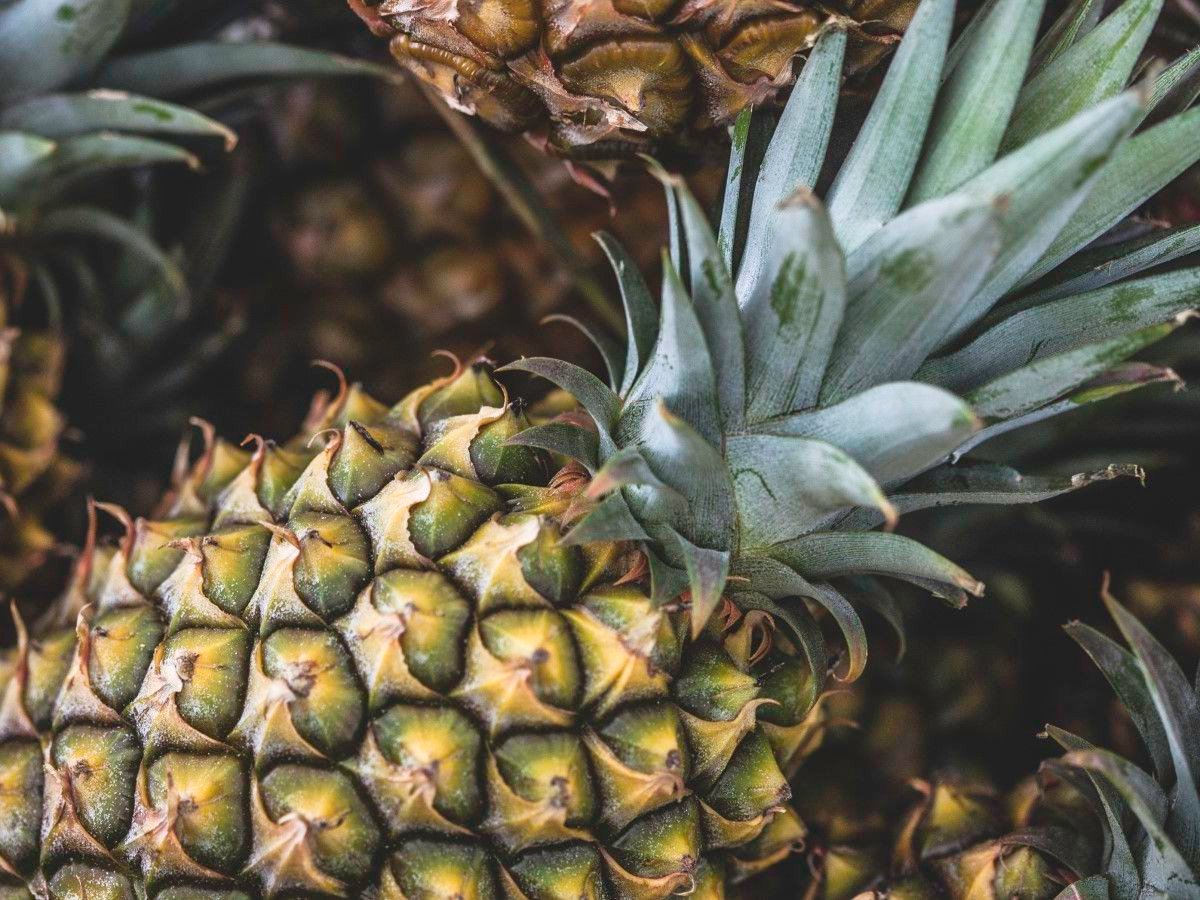 How to pick a pineapple: expert tips to harvest ripe fruit | Homes and  Gardens